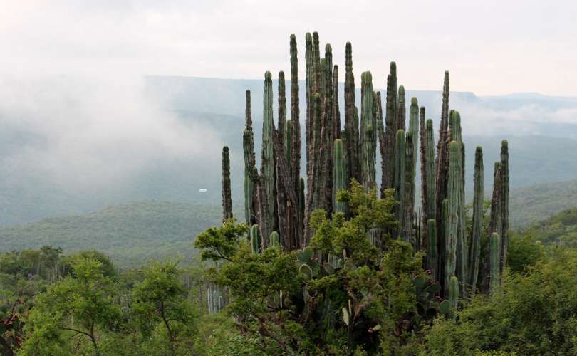 Realiza un recorrido virtual por 5 reservas naturales de México