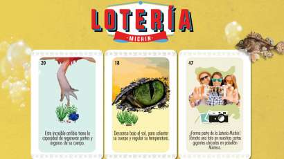 Juega a la Lotería Michin