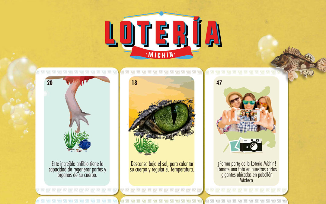 Juega a la Lotería Michin