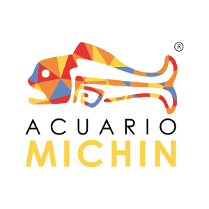 Michin Puebla Aquarium