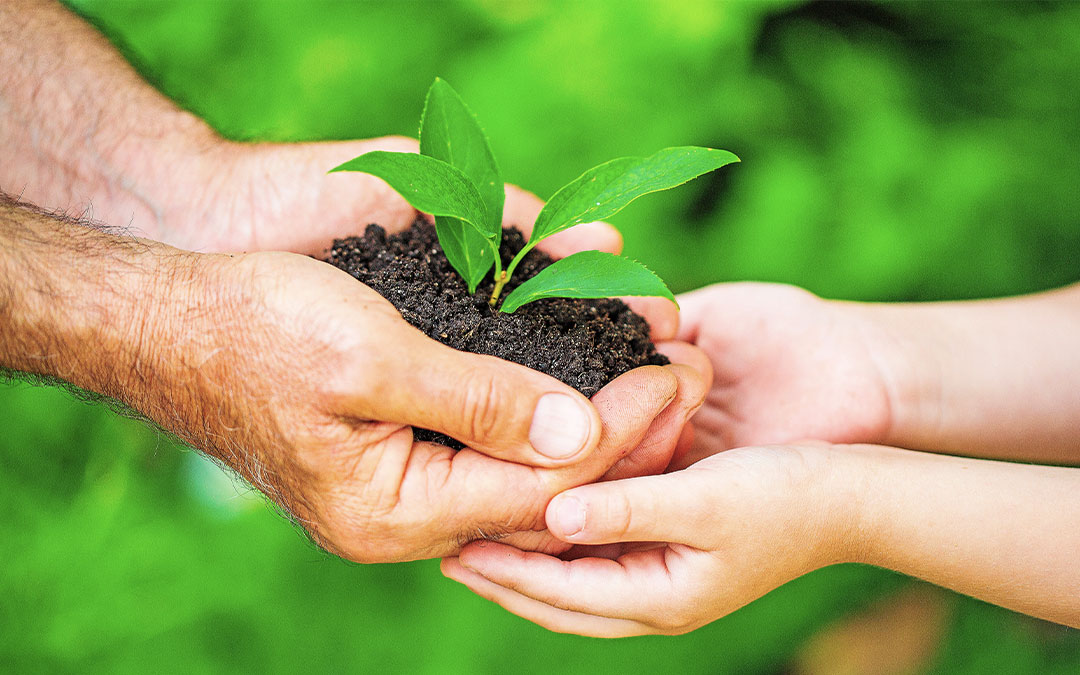 Quiz para conocer tu nivel de inteligencia ecológica