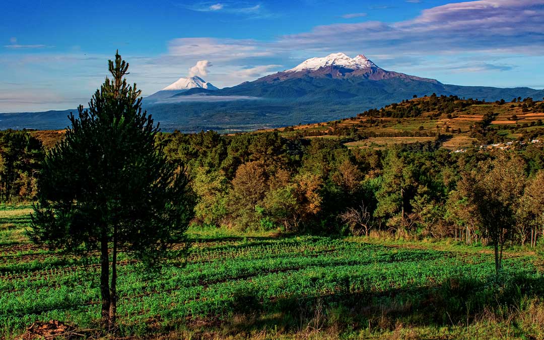 Las cuatro montañas de México con mayor megadiversidad en el país.