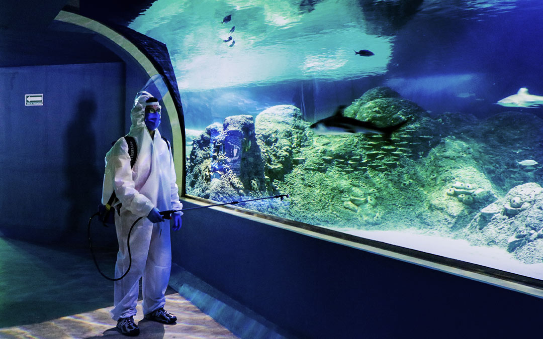 Acuario Michin comprometido con el medio ambiente