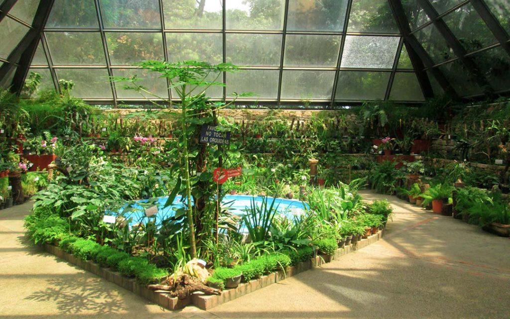 El parque Agua Azul es un espacio verde en el centro de Guadalajara que puedes disfrutar en familia. 