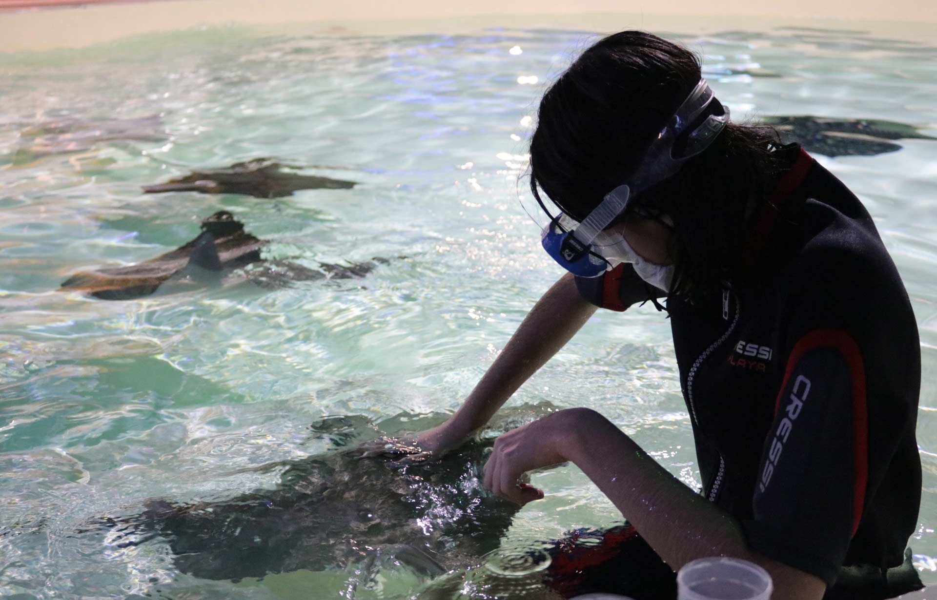 Acuario Michin Puebla