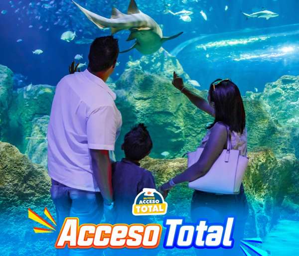 Total Access