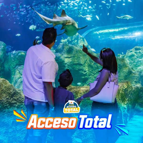 Total Access